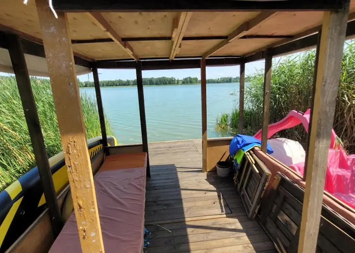 Seleny W Dolinie Symsarny *